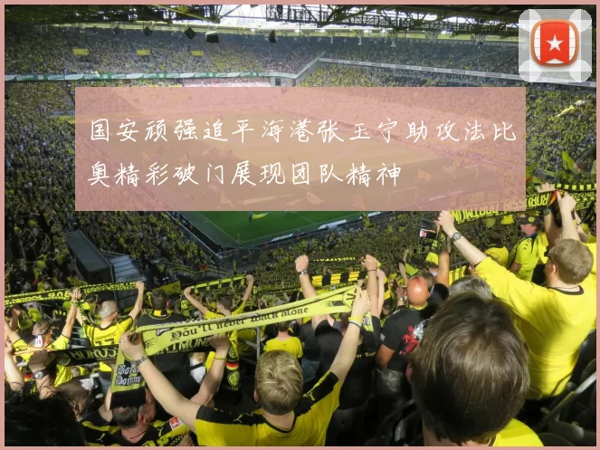 国安顽强追平海港张玉宁助攻法比奥精彩破门展现团队精神
