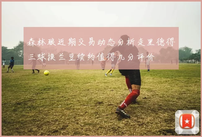 森林狼近期交易动态分析走里德得三球换兰豆续约值得几分评价