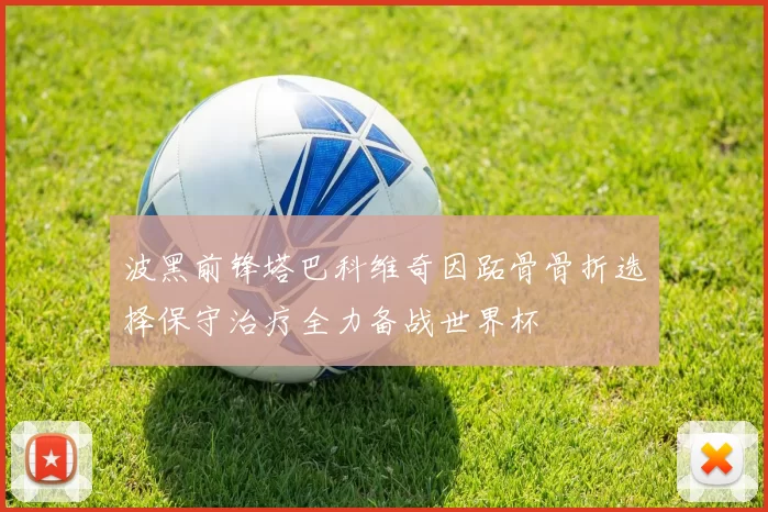 波黑前锋塔巴科维奇因跖骨骨折选择保守治疗全力备战世界杯